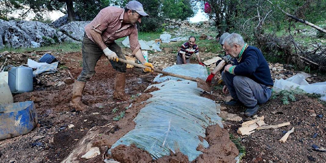 Önce toprağın altına gömüyor, 72 saat bekletiyorlar! Atadan kalma yöntem: Bu üretimde sadece 80 kg ürün alıyorlar 5